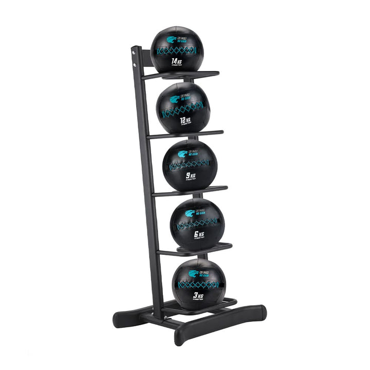 Zestaw 5 Wall Balls (3–14 kg) + Stojak